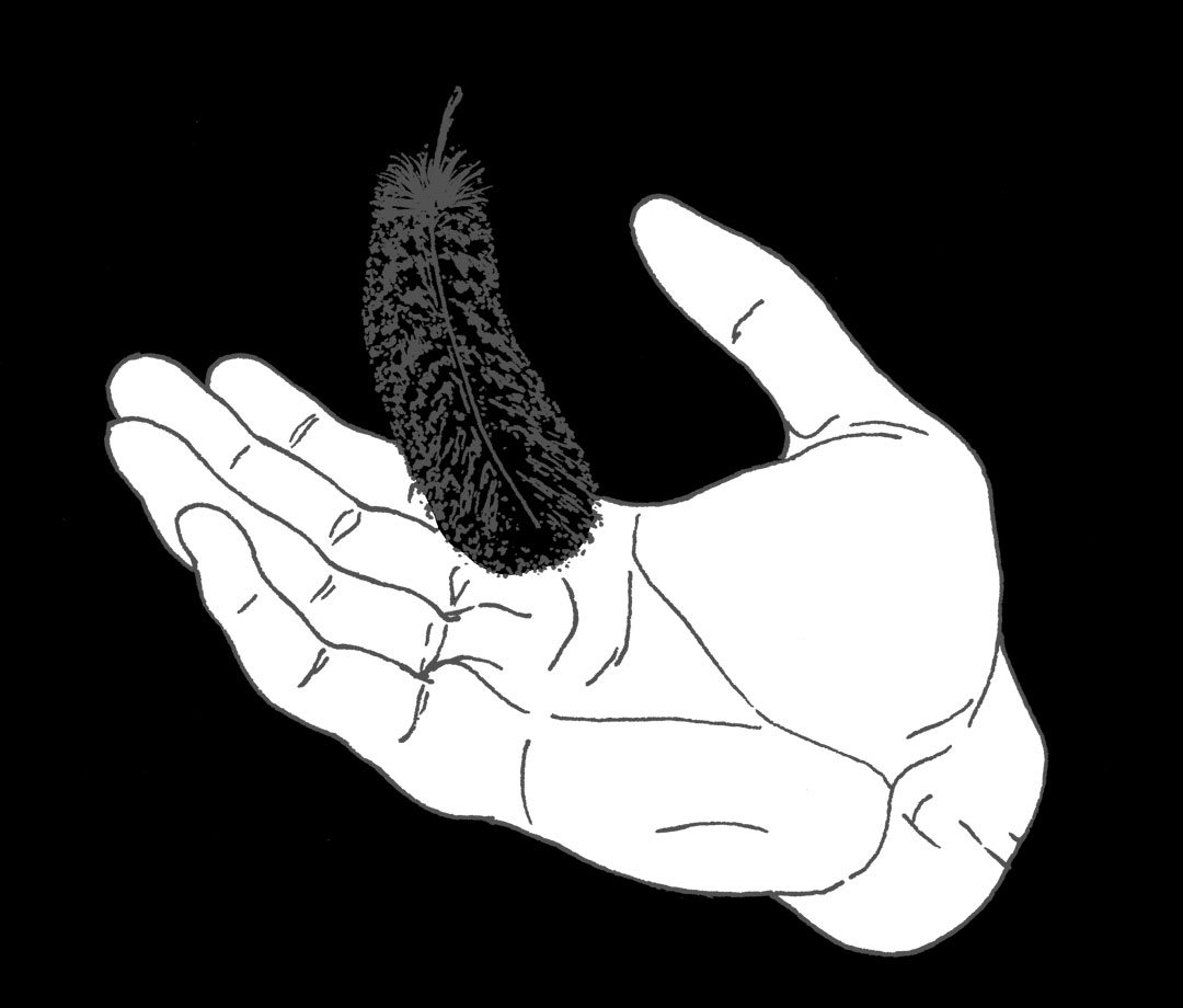 2d art digital painting illustration by Rita Rahimi , RR , rrfana , Ramin Rahimi , ریتا رحیمی ، رامین رحیمی