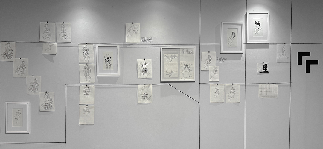 Drawings across the gallery walls