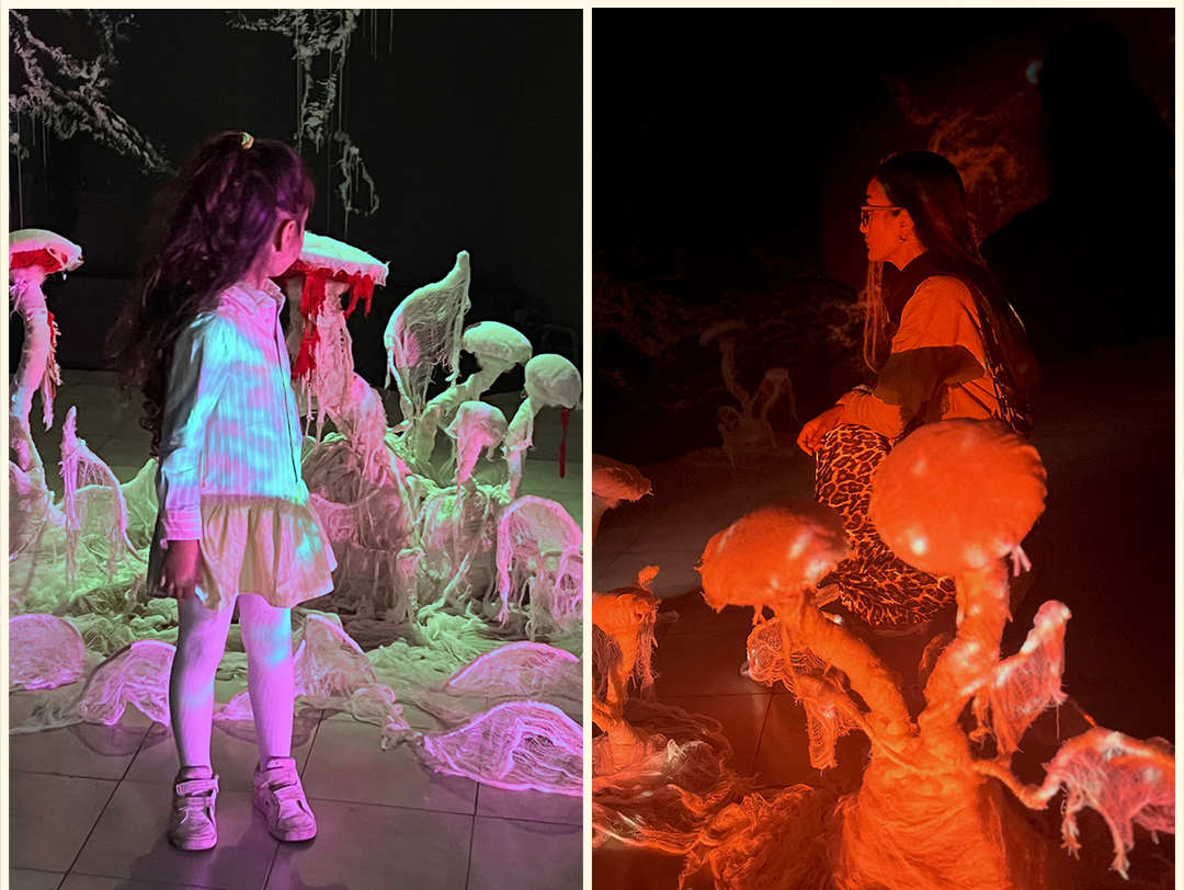 Illuminated installations
