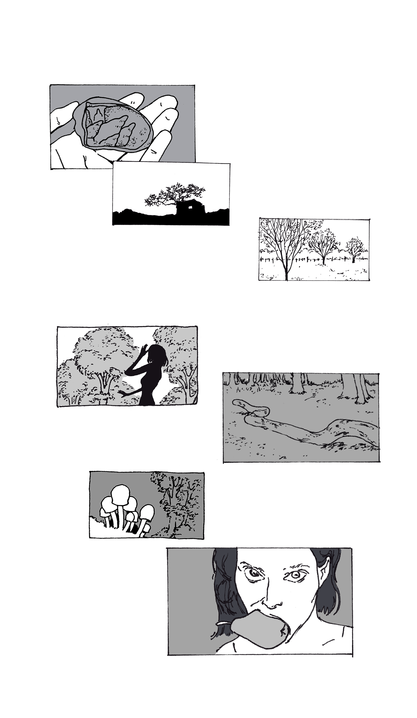 A Maple in Flames — hand-drawn comic
